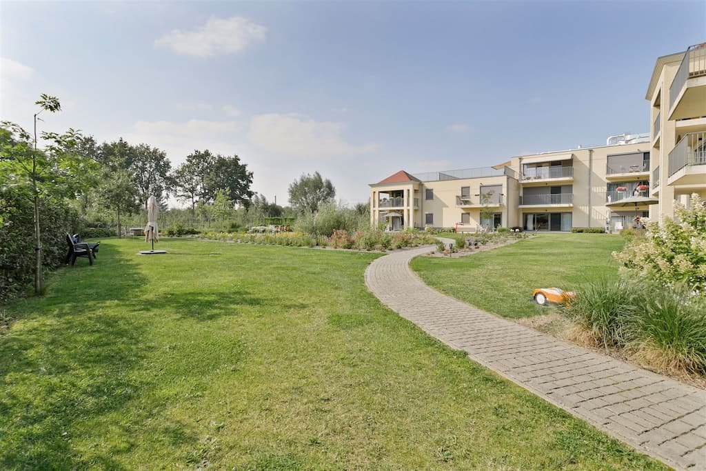 Zicht op de groene tuin